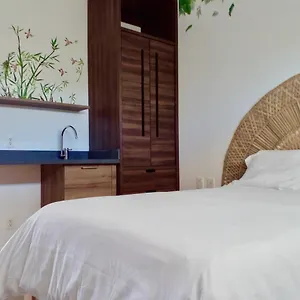 Apartamento En La Riviera Maya, Akumal